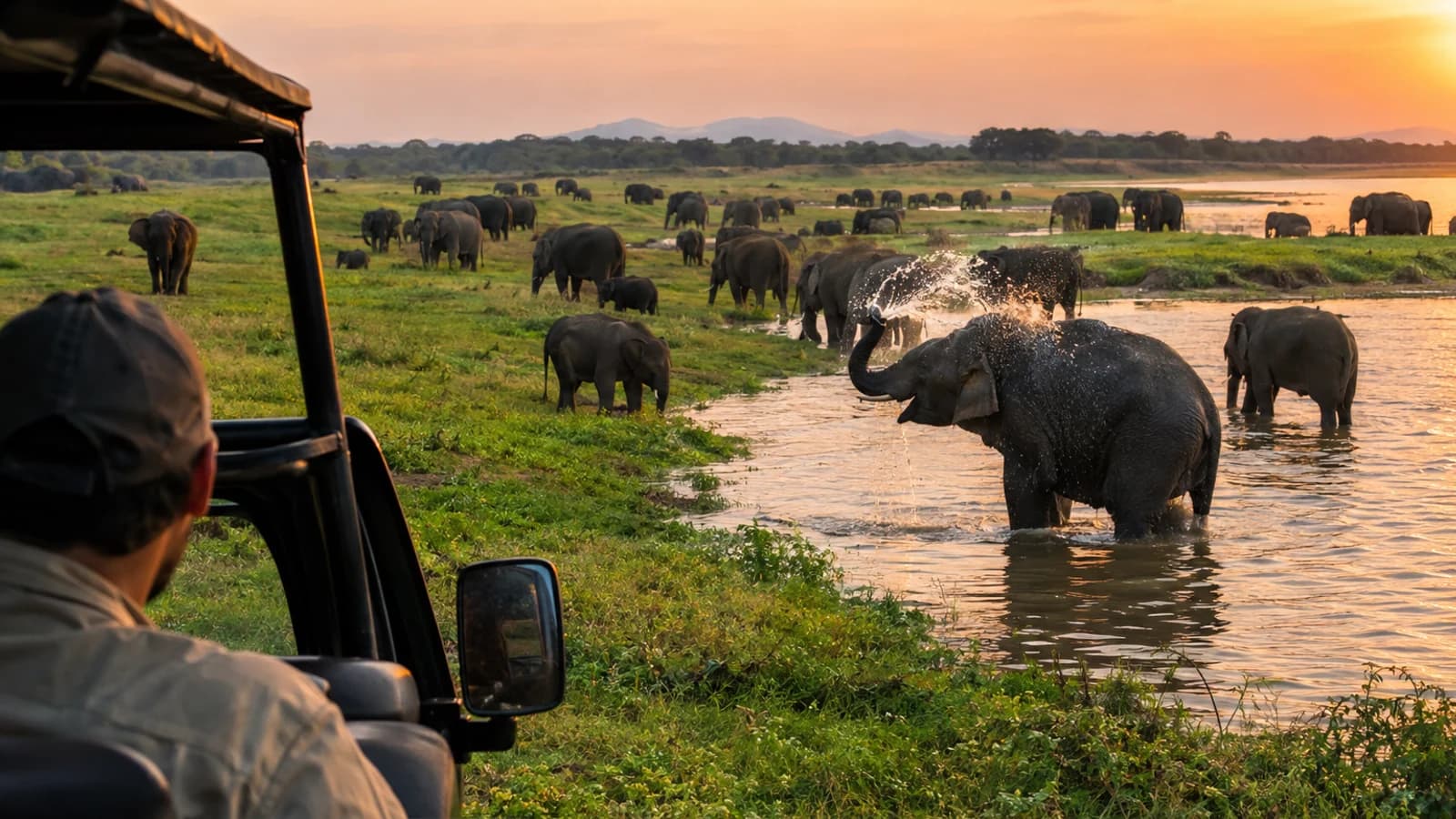 Minneriya National Park: Elephants, Jeep Safaris and What to Expect