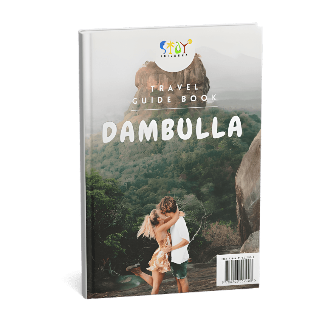 Dambulla Travel Guide