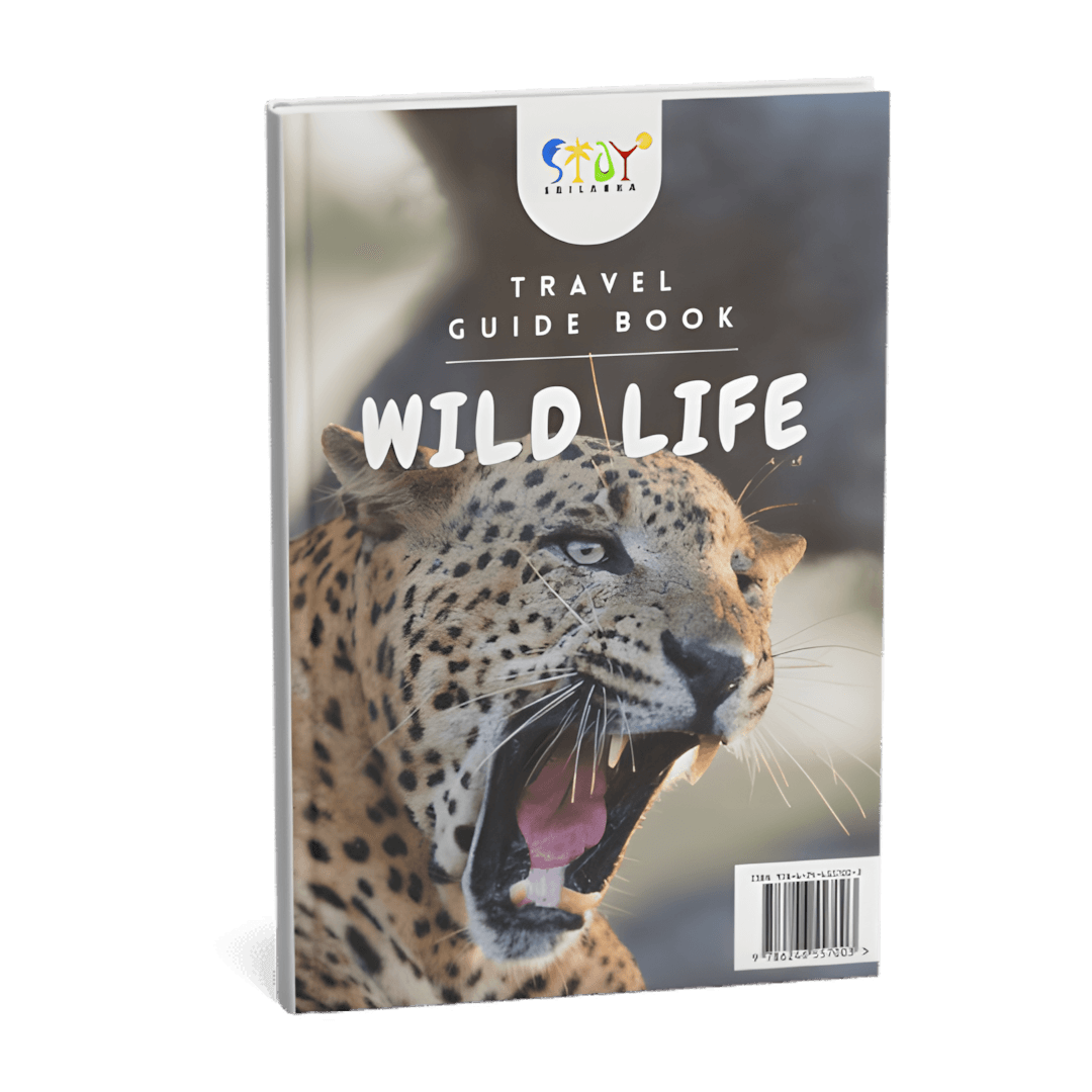 Wildlife E Travel Guide